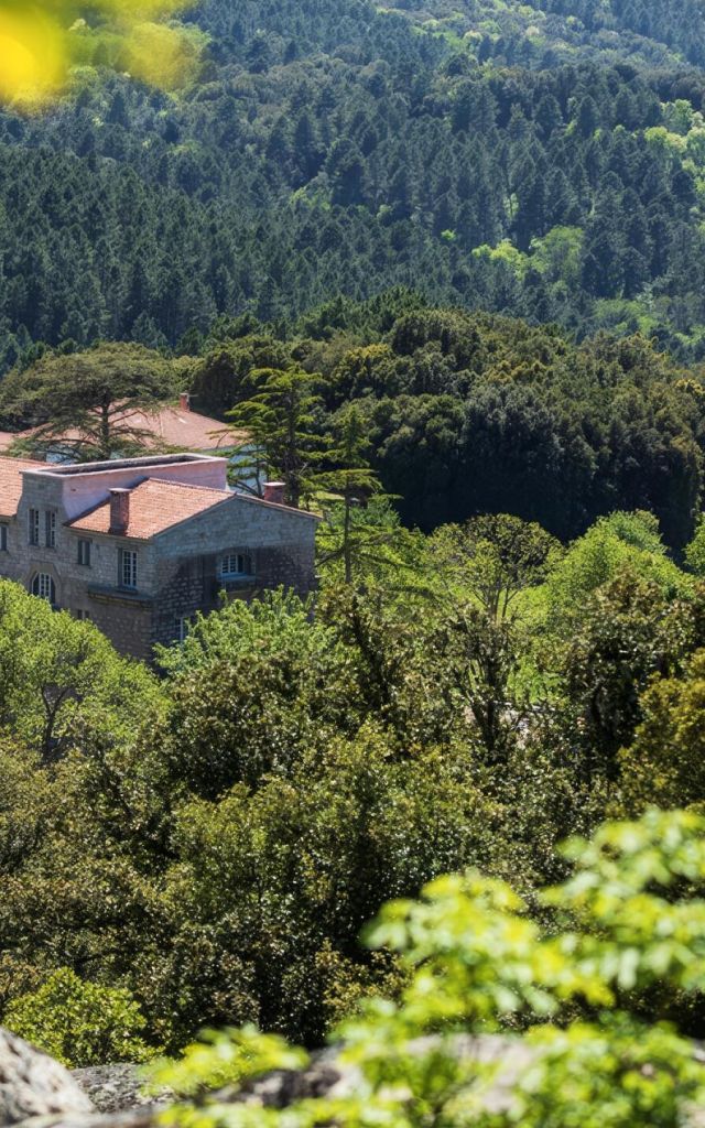 Domaine Le Mouflon d'Or, hôtel 5 étoiles à Zonza en Corse-du-Sud