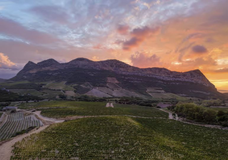 Le vignoble corse : le plus exotique des vignobles 