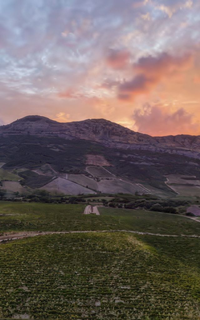 Vignoble Corse au coucher du Soleil