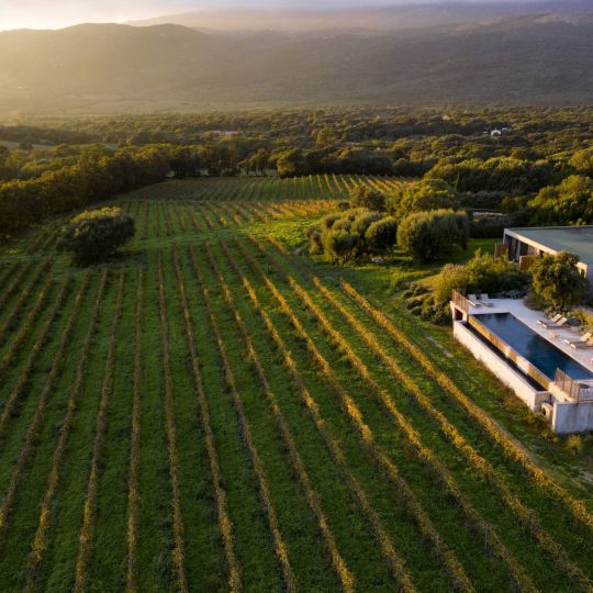 Domaine de Peretti della Rocca 